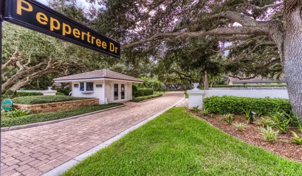 151_S_Peppertree_Dr-1
