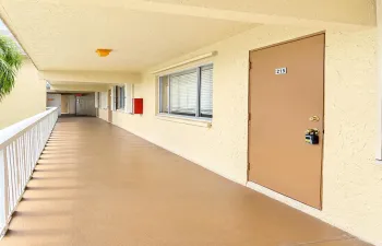Sunlit Apartment Corridor with Door 215