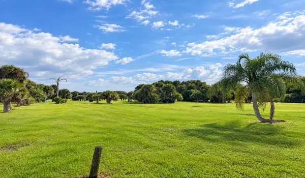 6 acres 1