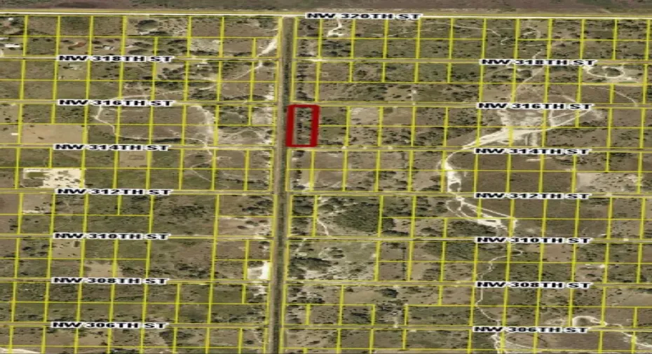 IMG_6970