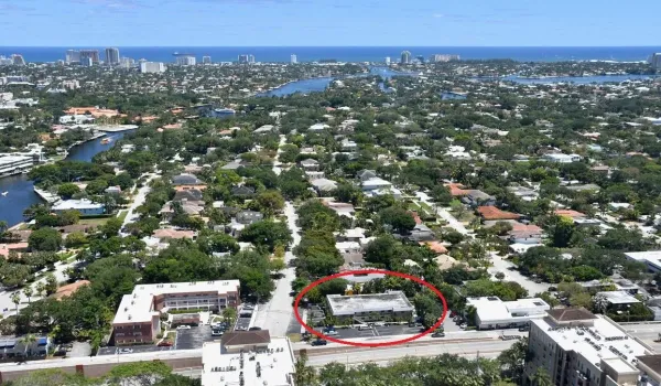 Aerial 1