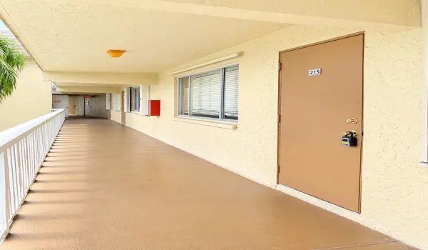 Sunlit Apartment Corridor with Door 215