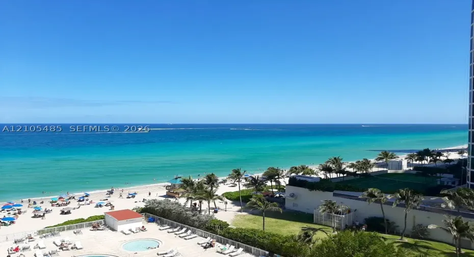 Expansive oceanfront setting featuring a sandy beach, clear blue water, and palm trees