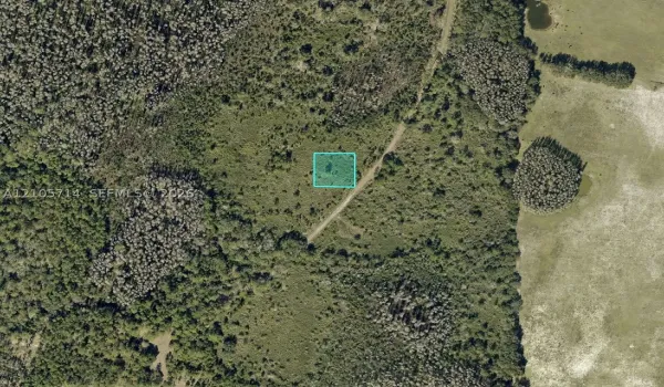 Aerial Tax Map. Outlining the surveyed boundary of the property
