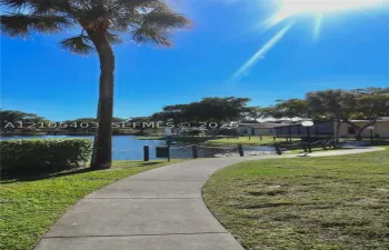 walkway, mature palm tree