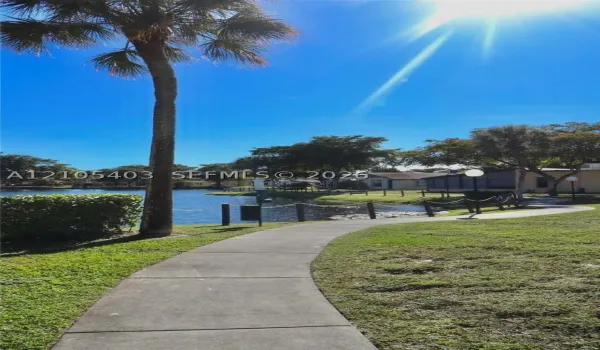 walkway, mature palm tree