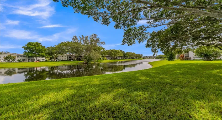Expansive green space with manicured lawn, mature trees, and a tranquil water feature
