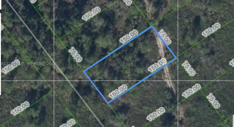 Property Survey. Illustrating the plot boundaries and dimensions of the property