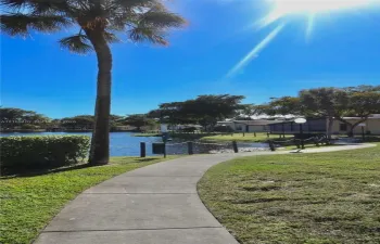 walkway, mature palm tree
