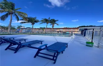 In-ground swimming pool featuring a concrete deck and metal perimeter fencing, accented by mature palm trees