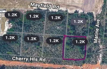Site Plan Map. Aerial survey indicating the legal boundaries of the property and road infrastructure