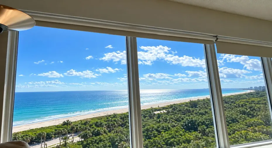 View over the trees on Spanish River, see Downton Fort Lauderdale