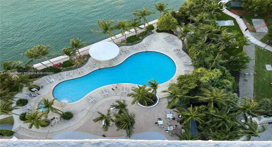 Waterfront swimming pool with paver decking, surrounding mature palm trees, and expansive paved walking paths