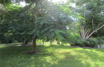 Expansive view from lania featuring mature trees, established palms, and open lawn space