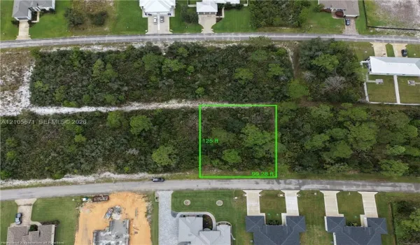 Rectangular parcel of land featuring native vegetation and mature trees, measuring 125 feet by 99.28 feet