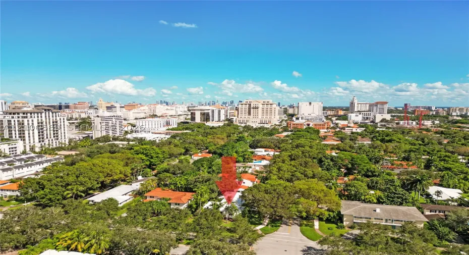 Aerial perspective featuring dense mature tree canopy, lush tropical landscaping, and proximity to urban center skyline