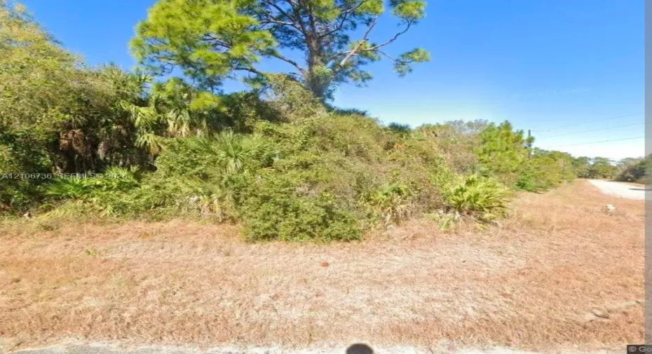 Vacant parcel featuring mature pine trees, native palmetto vegetation, and grass-covered terrain