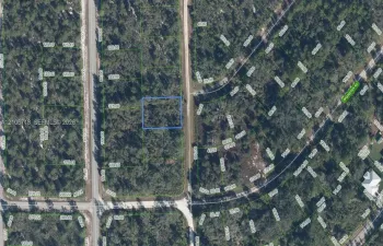 Tax Map, Parcel Survey. Outlining the boundaries and dimensions of the property