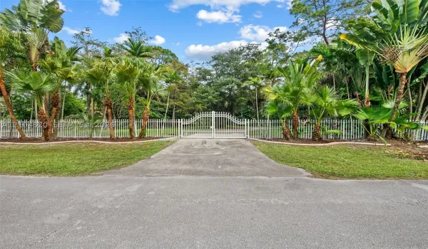 Gated entry with white wrought iron fencing, concrete driveway, and mature tropical landscaping