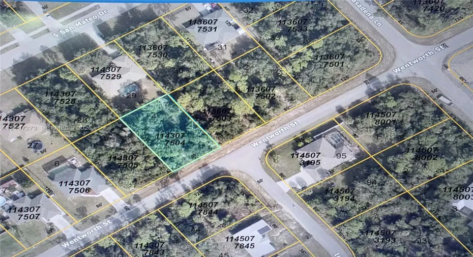 Tax Map. Identifying parcel boundaries and lot dimensions for the property