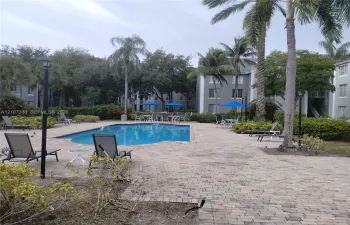 Swimming pool area featuring a paved brick pool deck, mature palm trees, and professional landscaping