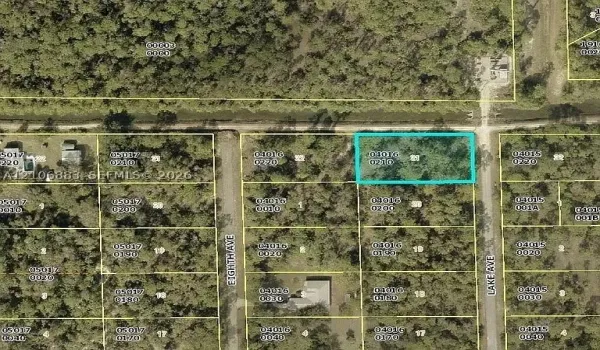 Aerial Parcel Map. Indicating the boundaries and geographic location of the property