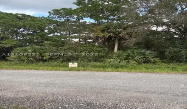 Vacant parcel featuring mature pine trees, native palmetto palms, and established vegetation