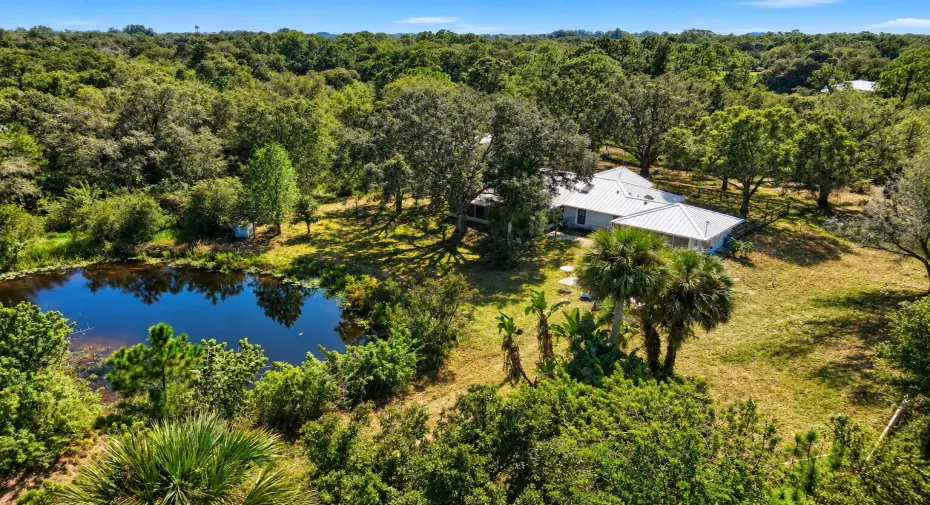 House & Pond