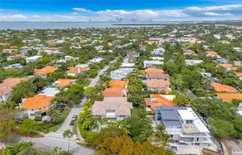 Aerial perspective of a coastal residential neighborhood featuring mature tropical foliage and a distant skyline backdrop