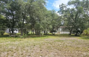 Expansive lot featuring mature trees, natural vegetation, a detached storage structure, and horizontal exterior siding