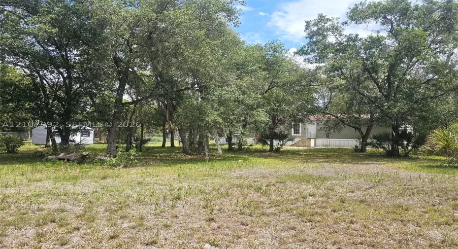 Expansive lot featuring mature trees, natural vegetation, a detached storage structure, and horizontal exterior siding