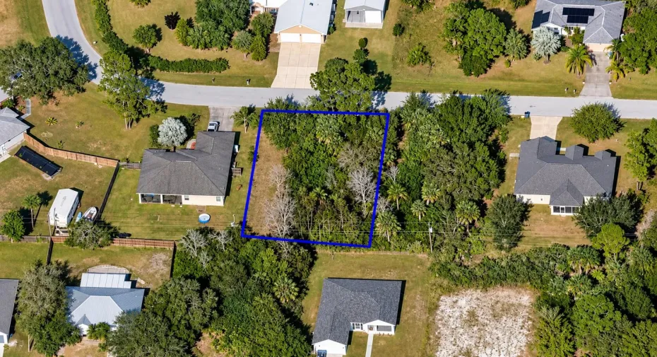 Aerial View of Blue-Outlined Woodland Lo