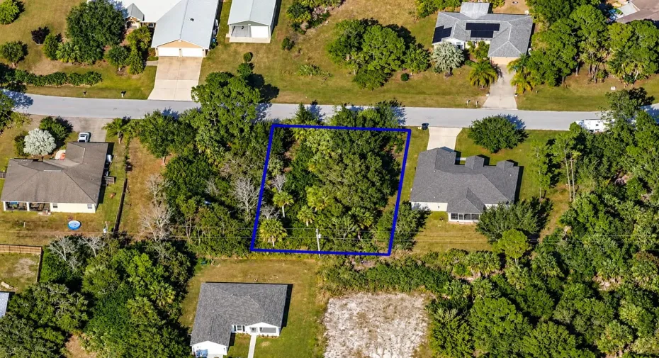 Blue-Bordered Wooded Lot Aerial View