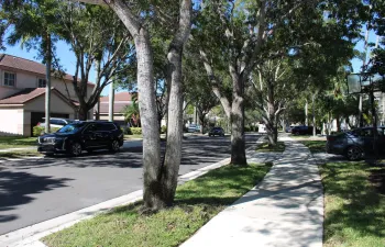 Neghborhood