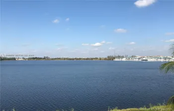 Expansive lake frontage with natural shoreline vegetation