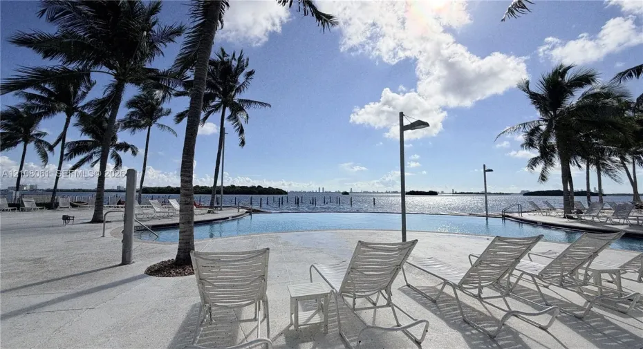 Waterfront swimming pool with concrete decking, surrounding palm trees, and metal pole lighting