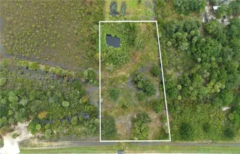 Expansive undeveloped parcel featuring mature trees, native vegetation, and a natural pond