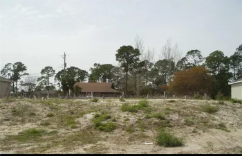 Vero