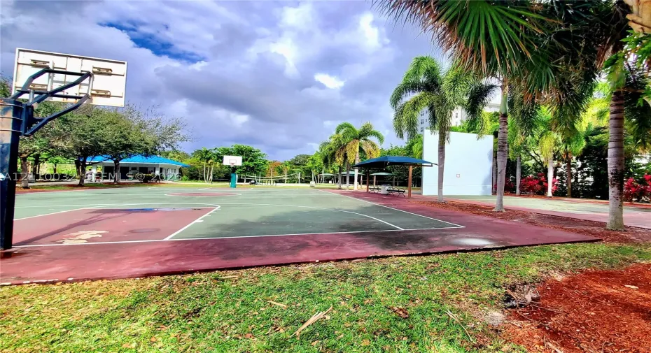 Outdoor basketball court