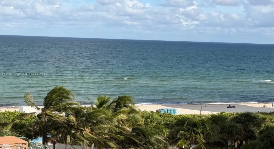 Oceanfront expanse with direct shoreline access, expansive sandy beach, and mature coastal palm trees