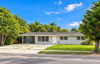 Single-story exterior featuring a light gray facade, covered carport, ribbon driveway with integrated greenery, multi-pane windows, and mature palm landscaping
