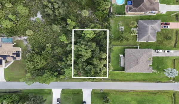 Rectangular parcel of undeveloped land featuring mature trees and established natural vegetation
