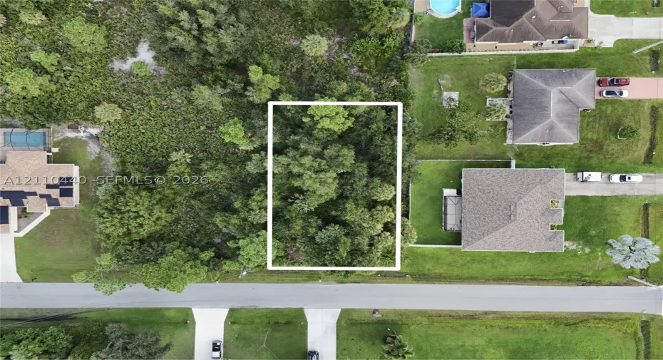 Rectangular parcel of undeveloped land featuring mature trees and established natural vegetation