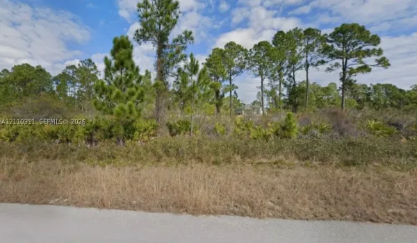 Vacant lot featuring natural vegetation, native palmettos, and mature pine trees