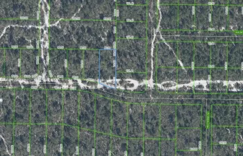 Tax Map, Lot Survey. Identifying the boundaries and dimensions of the property
