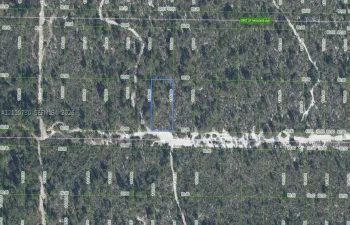 Tax Plat Map. Representing the delineated boundaries and dimensional measurements of the property