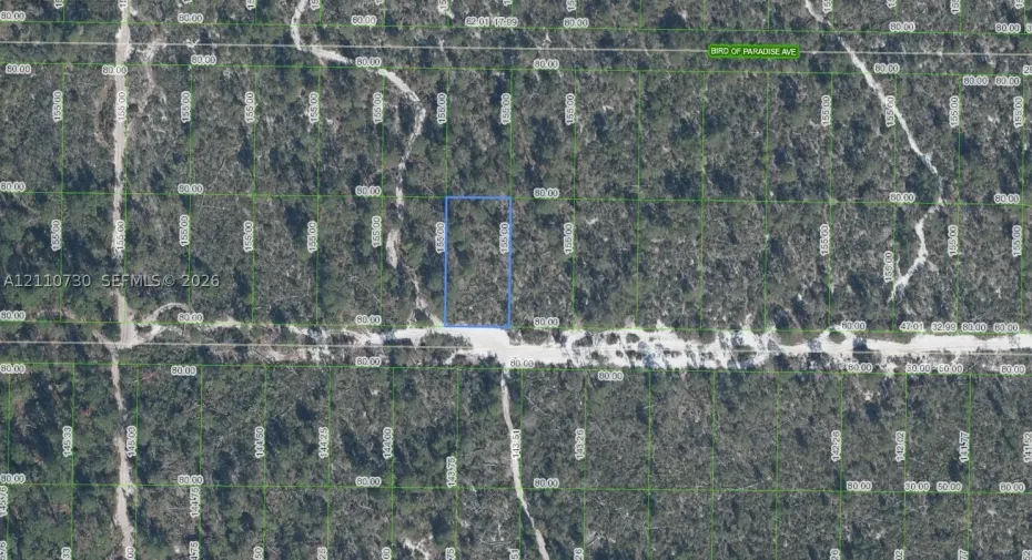 Tax Plat Map. Representing the delineated boundaries and dimensional measurements of the property