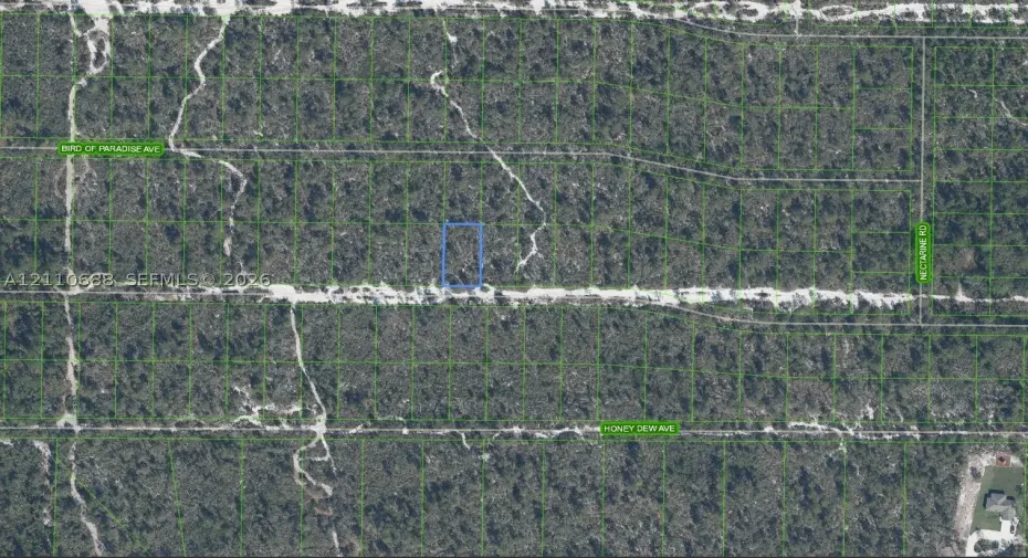 Parcel Map. Satellite imagery illustrating the boundaries and location of the property