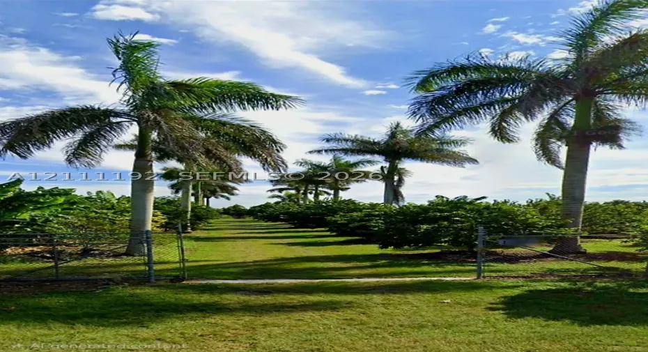 Lush grounds featuring mature palm trees, manicured grassy rows, and chain-link perimeter fencing