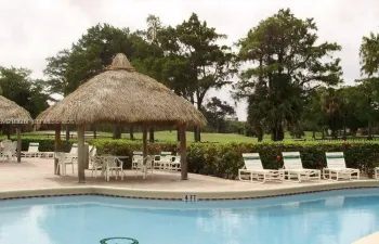 Swimming pool with stone paver decking, thatched-roof cabana, and perimeter landscaping